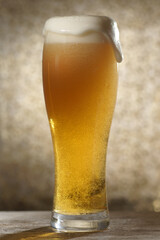 Beer.Pint of Beer close up isolated on abstract background. Cold Craft light Beer in a glass