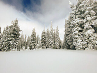 Winter landscape in Steamboat Springs Colorado