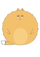 Funny ginger fat cat