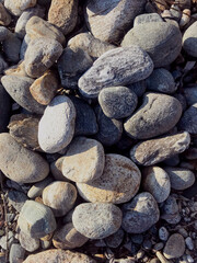 caillou , plage , pierre