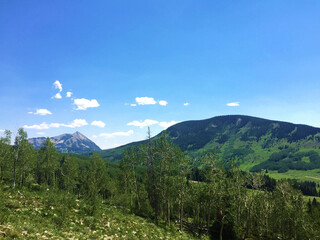 Colorado Trees and Mountains