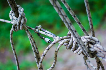 close-up of rope with carabiner, with knots and loops tied on a blurred green forest background