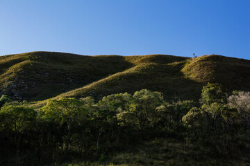 Fototapeta premium Fotografia de Natureza