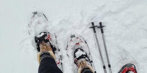 Snowshoes and Ski Poles in Deep Snow; Cold Weather and Travel Destinations; Winter Sports, Stay...