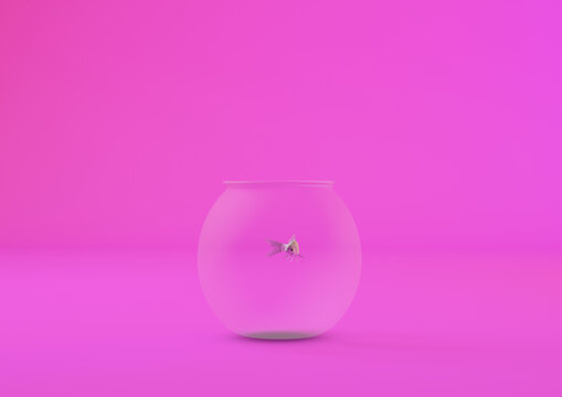 3D rendering of goldfish in a small round aquarium isolated on a pink background