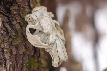 Bone totem in the middle of the forest