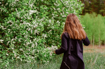 A little girl 6 years old with long hair standing from the back in the garden, sniffing the white flowers of bird cherry. Spring bloom concept.