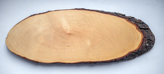 A cut of a tree with age-old rings on a white isolate