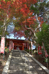 秋の毘沙門堂　仁王門　京都市山科区
