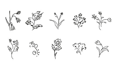 10 hand-drawn blossom wildflowers. Big collection of 10 hand-drawn roses. Big floral botanical set. Isolated on white background. Doodle simple vector collection. - 411961447