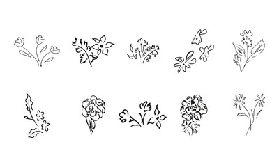 10 hand-drawn blossom wildflowers. Big collection of 10 hand-drawn roses. Big floral botanical set. Isolated on white background. Doodle simple vector collection. - 411961472