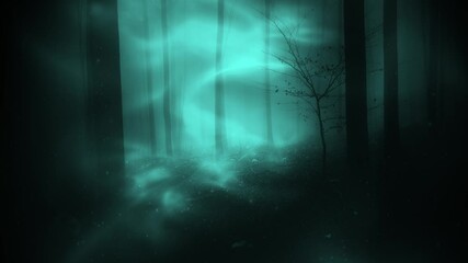 Fantasy dark foggy fairytale forest. Conceptual halloween nature landscape.