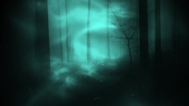 Fantasy dark foggy fairytale forest. Conceptual halloween nature landscape.