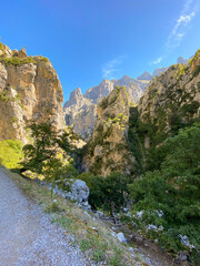 The Cares river canyon along the Cares Route in the heart of Picos de Europa National Park, Spain. Narrow and impressive canyon between cliffs, bridges, caves, footpaths and rocky mountains.
