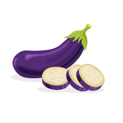 Fresh whole, half and piece of eggplant isolated on white background. Vegan food vector vegetable icons in a trendy cartoon style. Healthy food concept.
