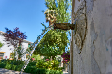 Chorro de agua saliendo de una fuente con un fondo de árboles verdes y flores