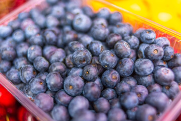 blueberries in a bowl