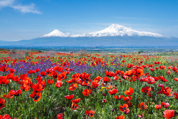 Mount Ararat (Turkey) at 5,137 m viewed from Yerevan, Armenia. This snow-capped dormant compound...