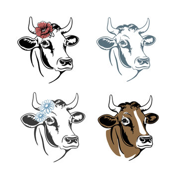 Cow head portrait with flowers, set of stylized vector symbols on white background, Farm animal. Labels for mascot or logo design.