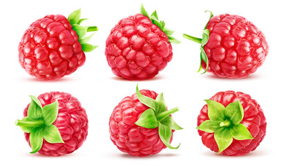 Set of six ripe raspberries with sepals isolated on white background.