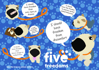 Illustration of the five animal freedoms with a cute dog © Harris Pinkham