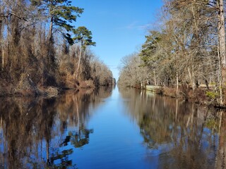 lake in the forest