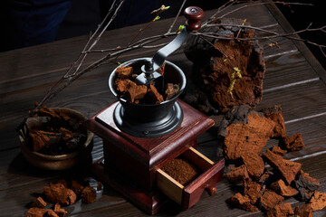 Grinding of natural chaga mushroom pieces with old vintage coffee grinder (mill) on a dark wooden background. A pile of chopped chaga mushroom in a tray. Inonotus Obliquus. 