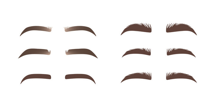 Set of Eyebrows shape. Eyebrow shapes. Various types of eyebrows. Eyebrow shaping for women. Classic type and different thickness of brows.