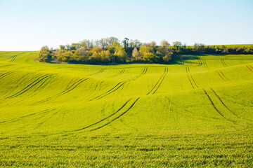 Picturesque agricultural area on the springtime on a sunny day. Location place of South Moravian...