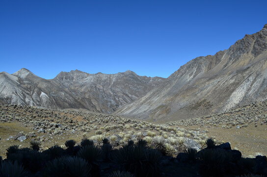 paramos meride&ntilde;os