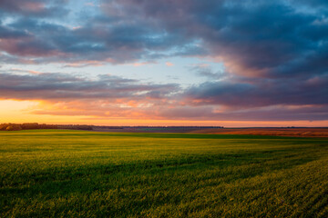 Attractive evening sky of agrarian land. Fresh vibrant colors.