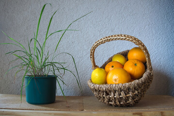 A woven basket full of citrus fruits besides a pot of lemongrass