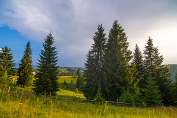 Mountain hills pure nature rural landscape. Fence from wooden logs