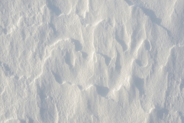 Fresh clean white snow background texture. Winter background with snowflakes and snow mounds. Snow lumps. Seasonal landscape details.