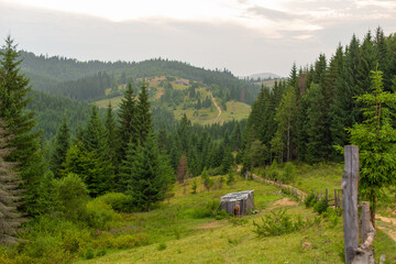 Fototapeta na wymiar The horse grazes next to a wooden nut. Green nature rural landscape
