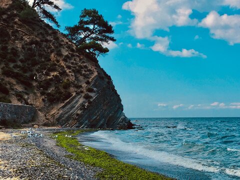 seaside
