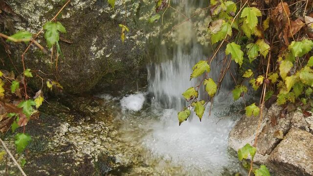 Close up, static camera shooting of little rivers of rainwater falling from a rock formation in the middle of a Korean pluvial rainforest.