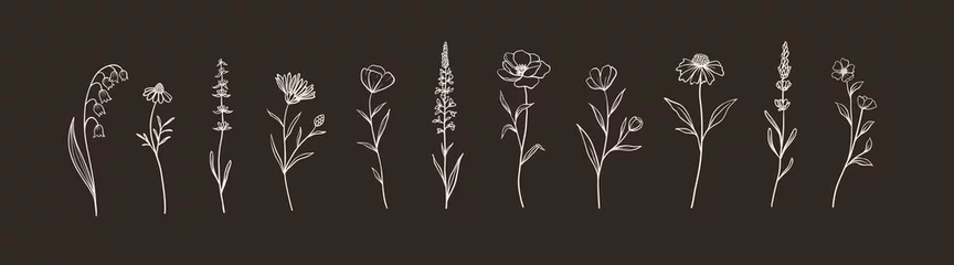 Set aus Kräutern und Wildblumen. Handgezeichnete florale Elemente. Vektor-Illustration © Oleksandra