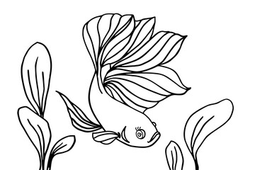 Fish and algae in the water. Aquarium. Can be used for coloring book for kids. Vector illustration.