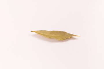 top view of five yellow-green bay leaves