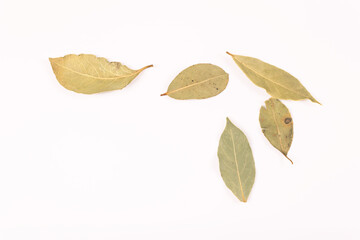 a slightly distant view of the yellow-green bay leaves lying close to each other