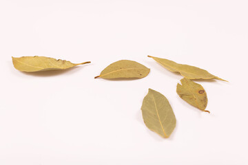 a slightly distant view of the yellow-green bay leaves lying close to each other
