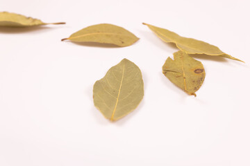 side view at an angle of lying five yellow-green bay leaves