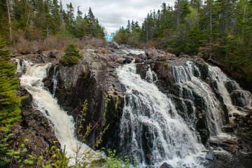 A raging river of white rapids and waterfalls with tall evergreen trees on both sides. The stream is enclosed by large boulders or rock formations with dead read leaves and moss covering greenery. 