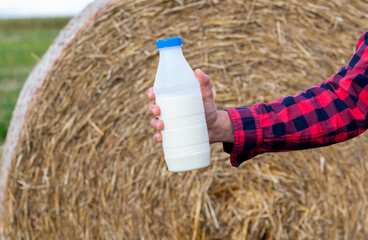 man drinks fresh bio milk on the field in the background, hay, grass, farm