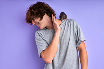man have fun with domestic decorative rat isolated on purple background, he has no musophobia
