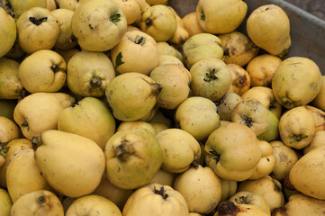 quinces in a market