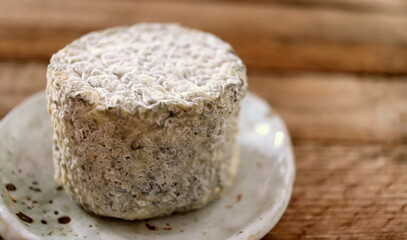 Farmer's cheese with gray mold close-up. Cheeseboard.