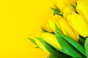 Bouquet of fresh yellow tulips