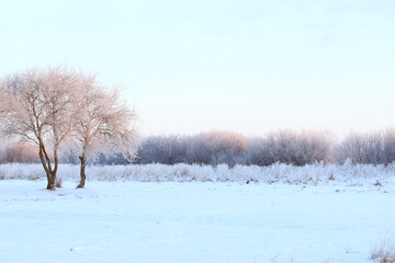 beautiful cold winter morning at countryside